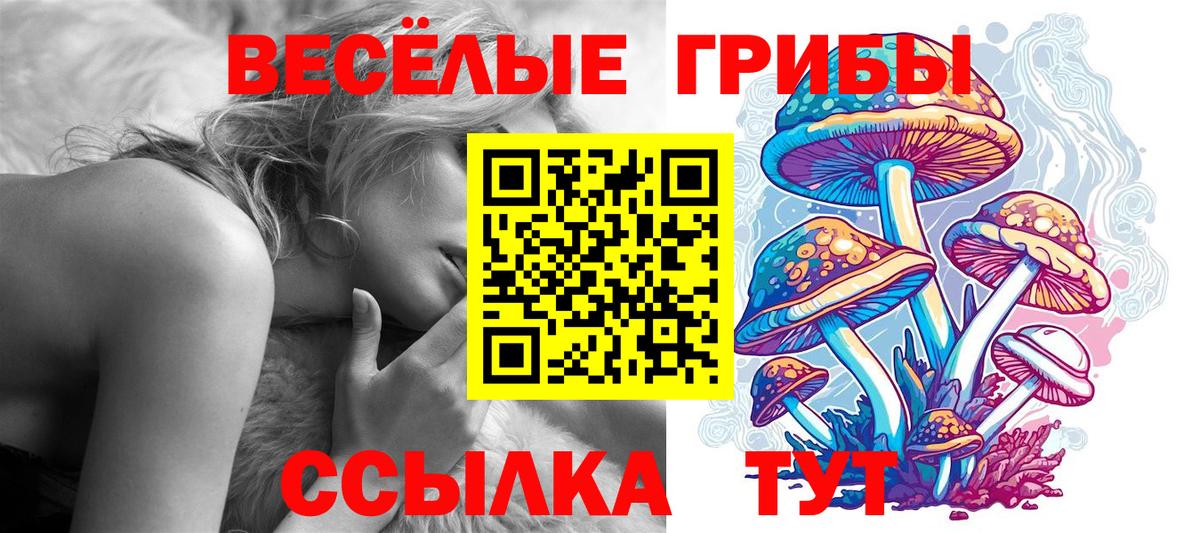 Галлюциногенные грибы ЛСД Кохма