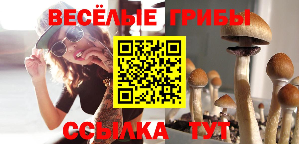 Псилоцибиновые грибы мицелий  Псилоцибиновые грибы мицелий  Вход с VPN  Кохма 